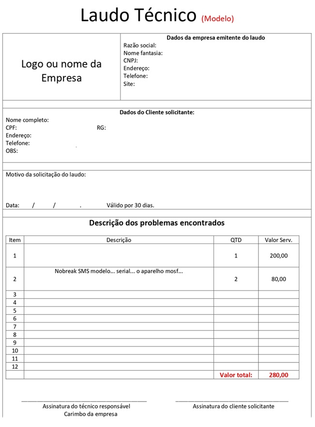 Modelo de Laudo Técnico Profissional